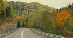 Touring the Fall Colours